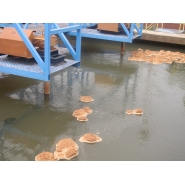 Visita a Aguas de Corrientes - 5to. Grado del Nivel Primario